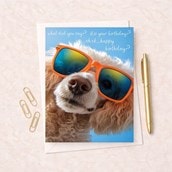 Birthday Card - What Did You Say? Birthday Card - What Did You Say?