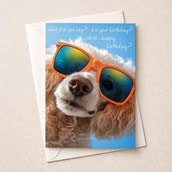 Birthday Card - What Did You Say?