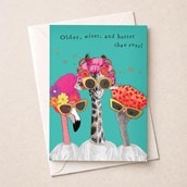 Birthday Card - Older Wiser And Hotter Than Ever Birthday Card - Older Wiser And Hotter Than Ever