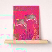 Open Card - Dolphins