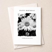 Birthday Card - Daisies