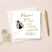 Just To Say Card - Mum, Special Lady