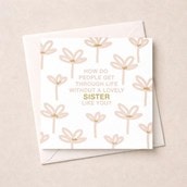 Just to Say Card - Lovely Sister Like You