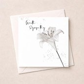 Sympathy Card - White Lily Sympathy Card - White Lily