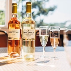 Vineyard Tour, Tasting and Lunch for 2: Choose from 2 UK locations