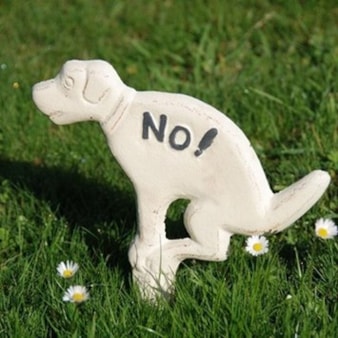 No Fouling Dog Sign No Fouling Dog Sign