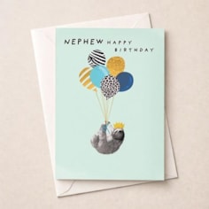 Nephew Birthday Card - Sloth With Balloons Nephew Birthday Card - Sloth With Balloons