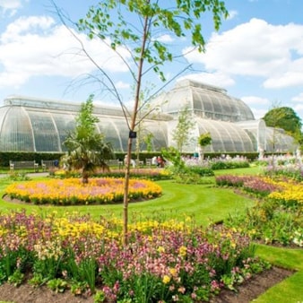 Visit to Kew Gardens with Cream Tea for 2 Visit to Kew Gardens with Cream Tea for Two