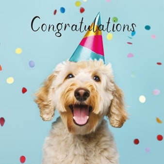 Large Congratulations Card - Dog Large Congratulations Card - Dog