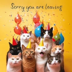 Large Sorry You're Leaving Card - Cats Large Sorry You're Leaving Card - Cats