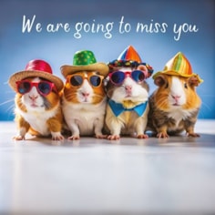 Large Sorry You're Leaving Card - Guinea Pigs