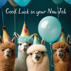 Large New Job Card - Llamas Large New Job Card - Llamas