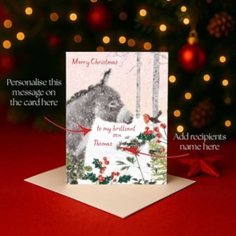 Personalised Christmas Card - Donkey & Robin