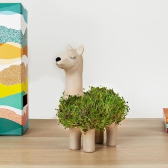 Llama Planter Llama Planter