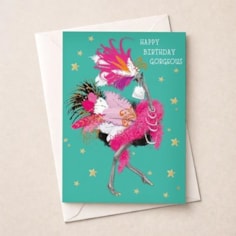 Large Birthday Card - Showgirl Ostrich