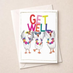 Large Get Well Soon Card - Fancy Geese