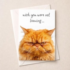 Large Sorry You're Leaving Card - Grumpy Cat Large Sorry You're Leaving Card - Grumpy Cat