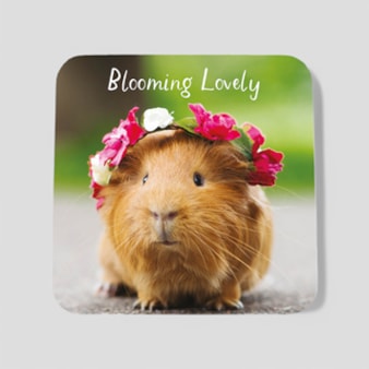 Drinks Coaster - Blooming Lovely Drinks Coaster - Blooming Lovely