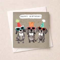 Birthday Card - Dachshunds Birthday Card - Dachshunds