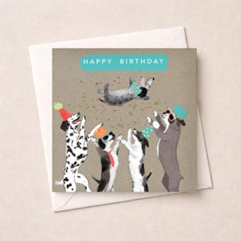Birthday Card - Dogs Birthday Card - Dogs