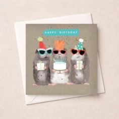 Birthday Card - Hamsters