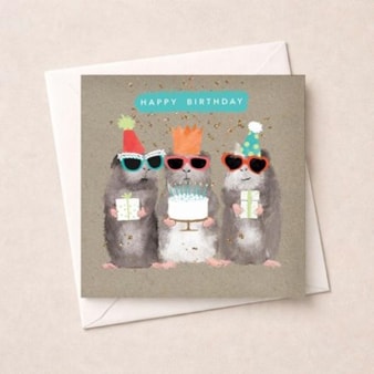 Birthday Card - Hamsters