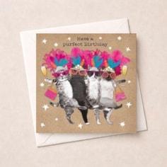 Birthday Card - Dancing Cats Birthday Card - Dancing Cats