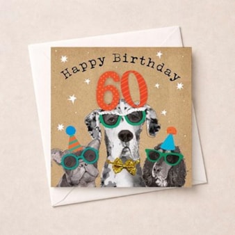 Age 60 Birthday Card - Fun Dogs