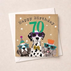 Age 70 Birthday Card - Fun Dogs Age 70 Birthday Card - Fun Dogs