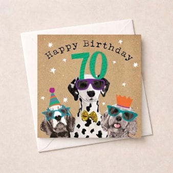 Age 70 Birthday Card - Fun Dogs Age 70 Birthday Card - Fun Dogs
