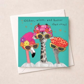 Birthday Card - Older, Wiser and Hotter Birthday Card - Older, Wiser and Hotter