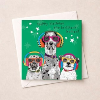 Birthday Card - Happy Birthday Brilliant Human