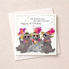 Birthday Card - Old Friends