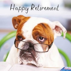 Retirement Card - Boxer Dog