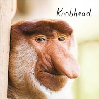 Humour Card - Knobhead Humour Card - Knobhead