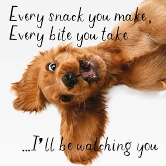 Humour Card - Watching You Humour Card - Watching You