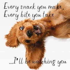 Humour Card - Watching You