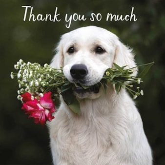 Thank You Card - Golden Retriever