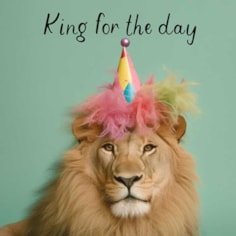 Birthday Card - King For The Day