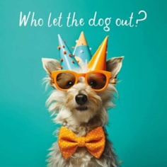 Open Card - Who let The Dog Out Open Card - Who let The Dog Out