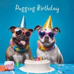 Birthday Card - Pugging Birthday