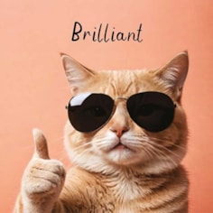 Open Card - Brilliant Cat Open Card - Brilliant Cat