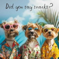 Open Card - Did You Say Snacks