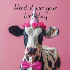 Birthday Card - Herd It Was Your Birthday