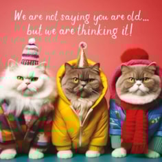 Birthday Card - Not Saying You Are Old