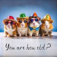 Birthday Card - You Are How Old?