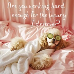 Open Card - Luxury I Deserve