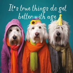 Birthday Card - Better With Age