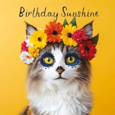 Birthday Card - Birthday Sunshine Birthday Card - Birthday Sunshine