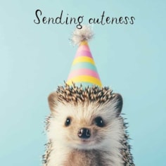 Open Card - Sending Cuteness Open Card - Sending Cuteness